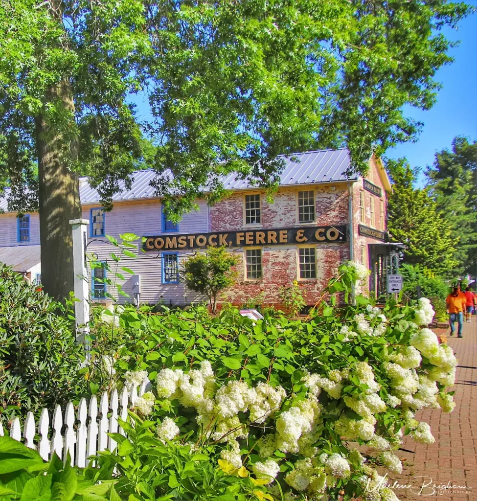 Homes and streetscape in Wethersfield, Connecticut